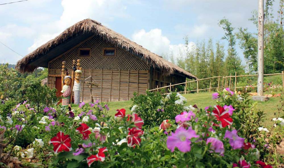 SELBALGRE HOOLOCK GIBBON RESERVE: Where Sacred Forests Shelter India's Only Apes